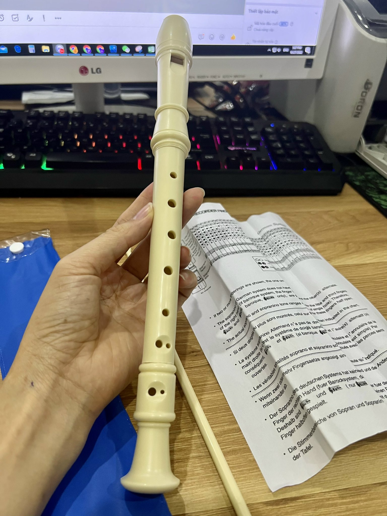 Sáo Nhựa Thường và Sáo Nhựa YAMAHA Recorder 6 Lỗ, Sáo Cho Mọi Lứa Tuổi Hàng Nhập Khẩu