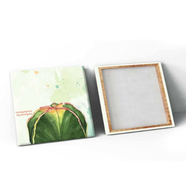 Bộ 3 Tranh Canvas Không Viền Treo Phòng Khách "Hoa Xương Rồng" W103