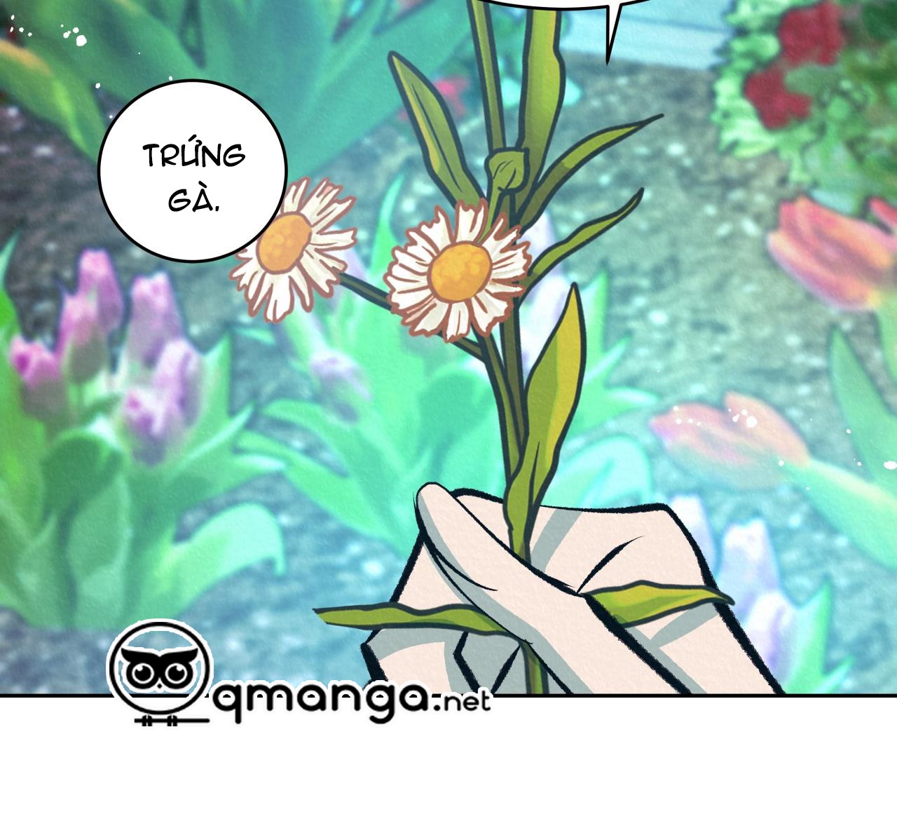 vô liêm sỉ chapter 11 137