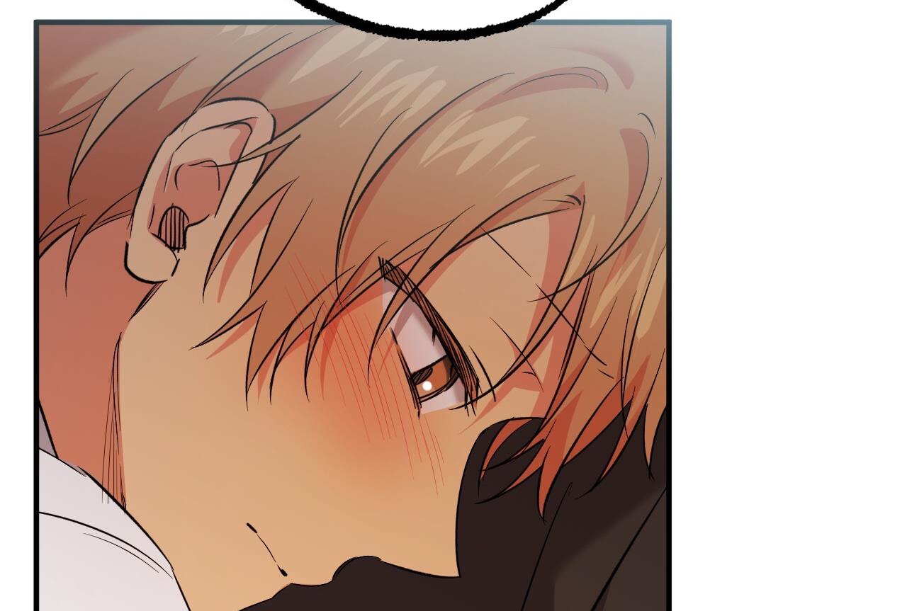 những chú thỏ của hapypy chapter 57 107