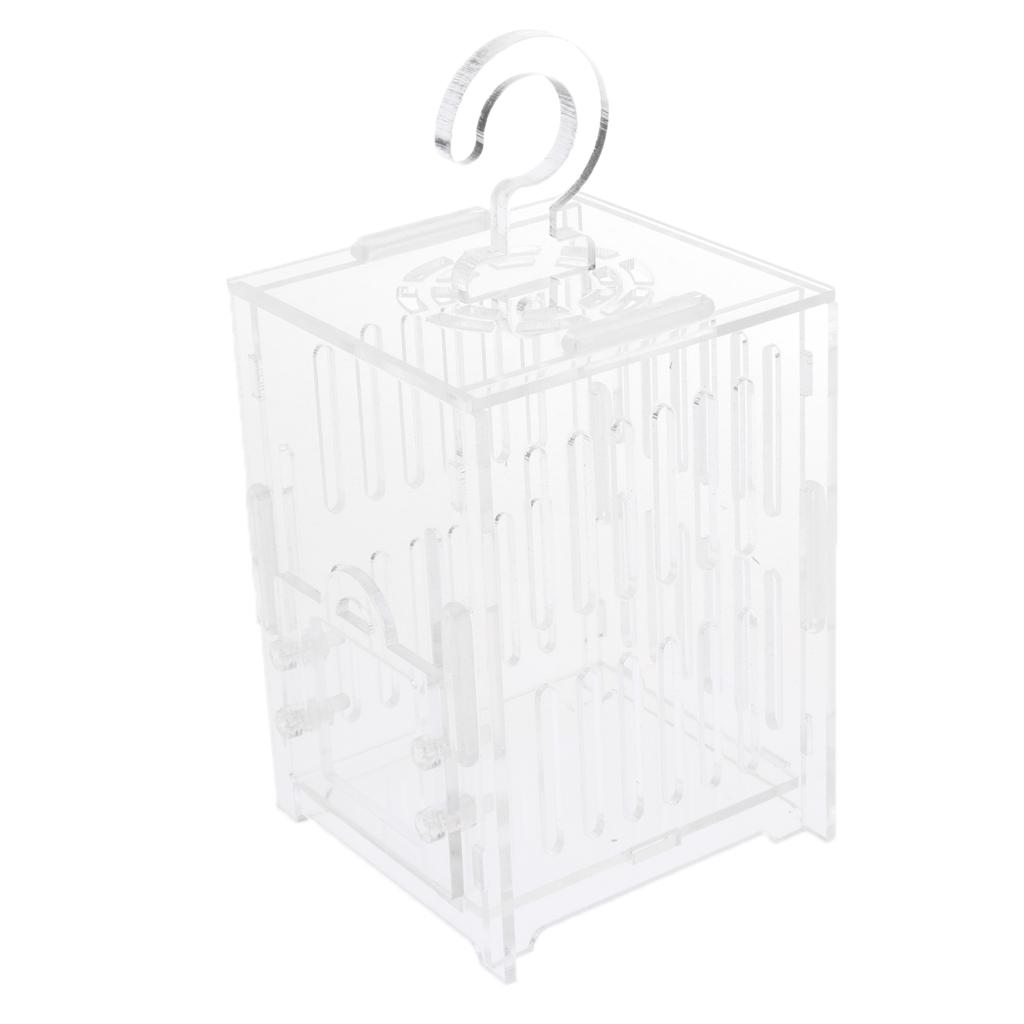 Durable Acrylic Small Insect Cage Grasshopper Feeding Cricket Cage Indoor Toy