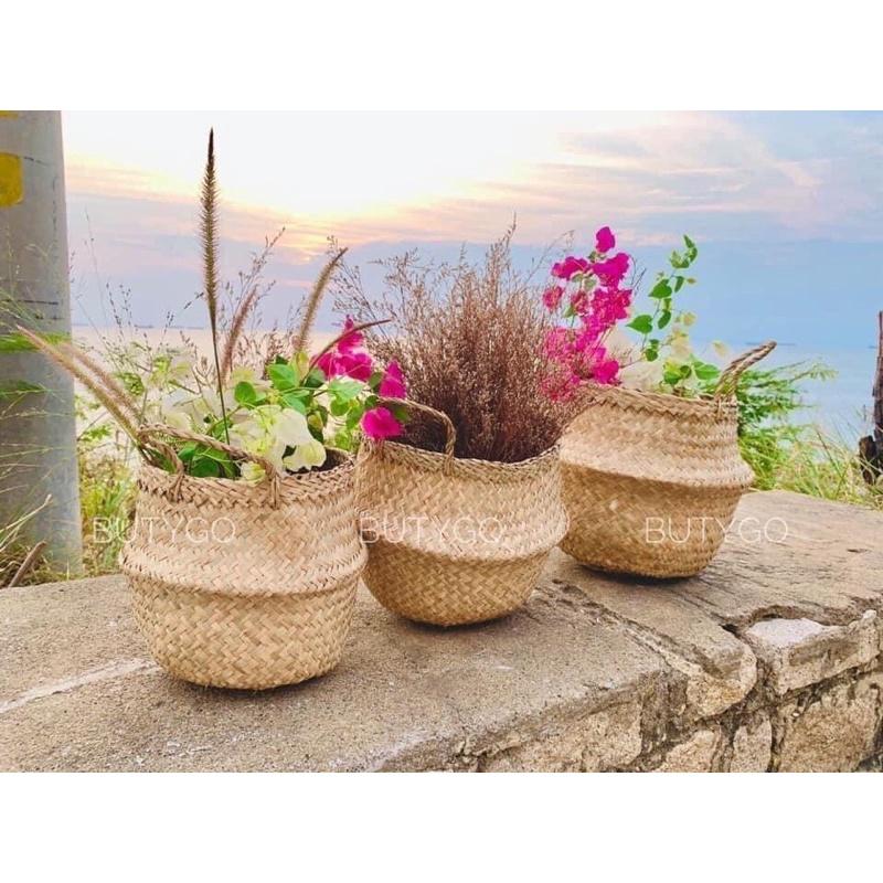 GIỎ CÓI TRỒNG CÂY