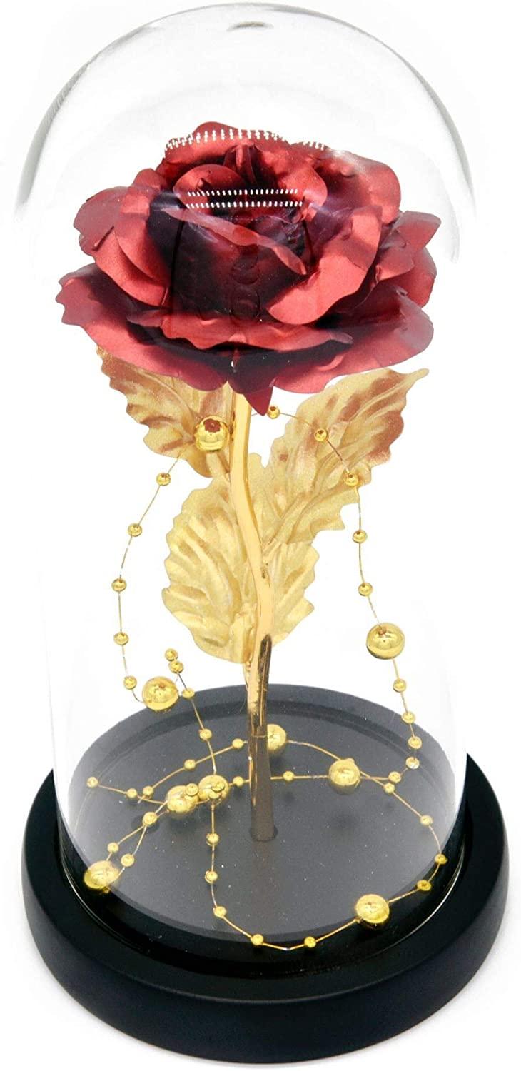 Beauty and the Beast Rose, Quà tặng cho cô ấy, Quà tặng sinh nhật cho vợ, Mê hoặc