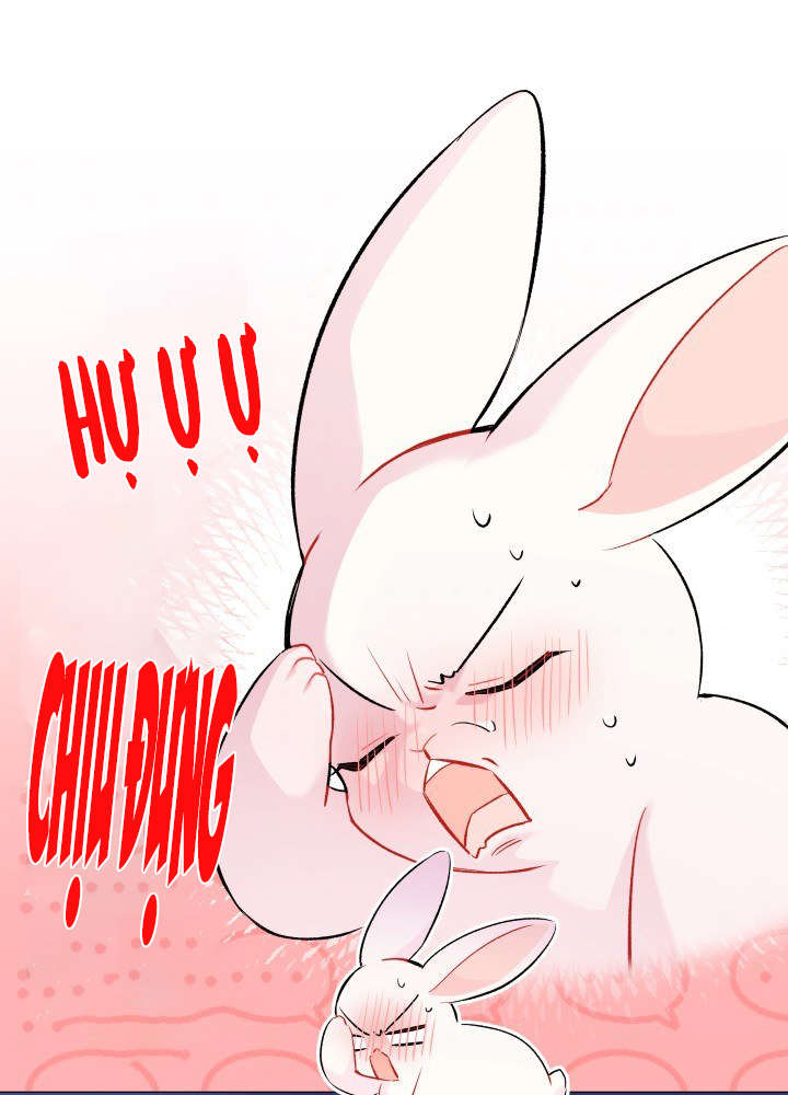 mối liên kết giữa báo đen và bé thỏ chapter 46 59