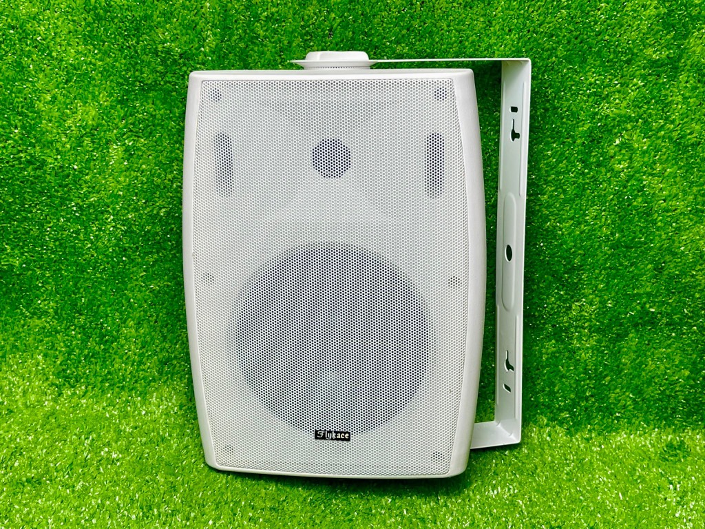 LOA REO TƯỜNG WS-629