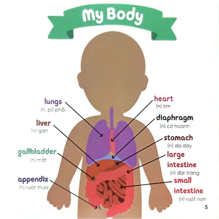 Sách Nhà Sinh Hóa Tương Lai: My Doctor's Visit - Cơ Thể &amp;amp; Sức Khỏe