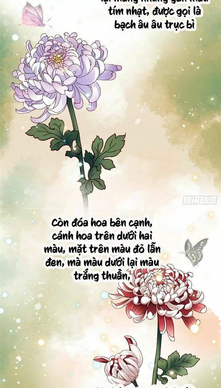 kiều nữ độc phi chapter 195 24