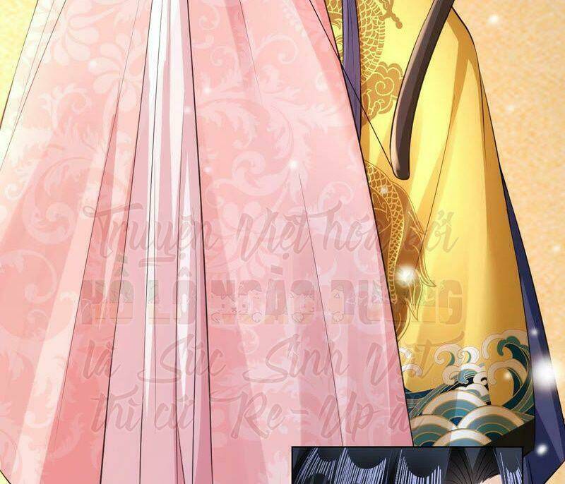 quận chúa vững vàng, thiết lập nhân vật không thể vỡ chapter 37 52