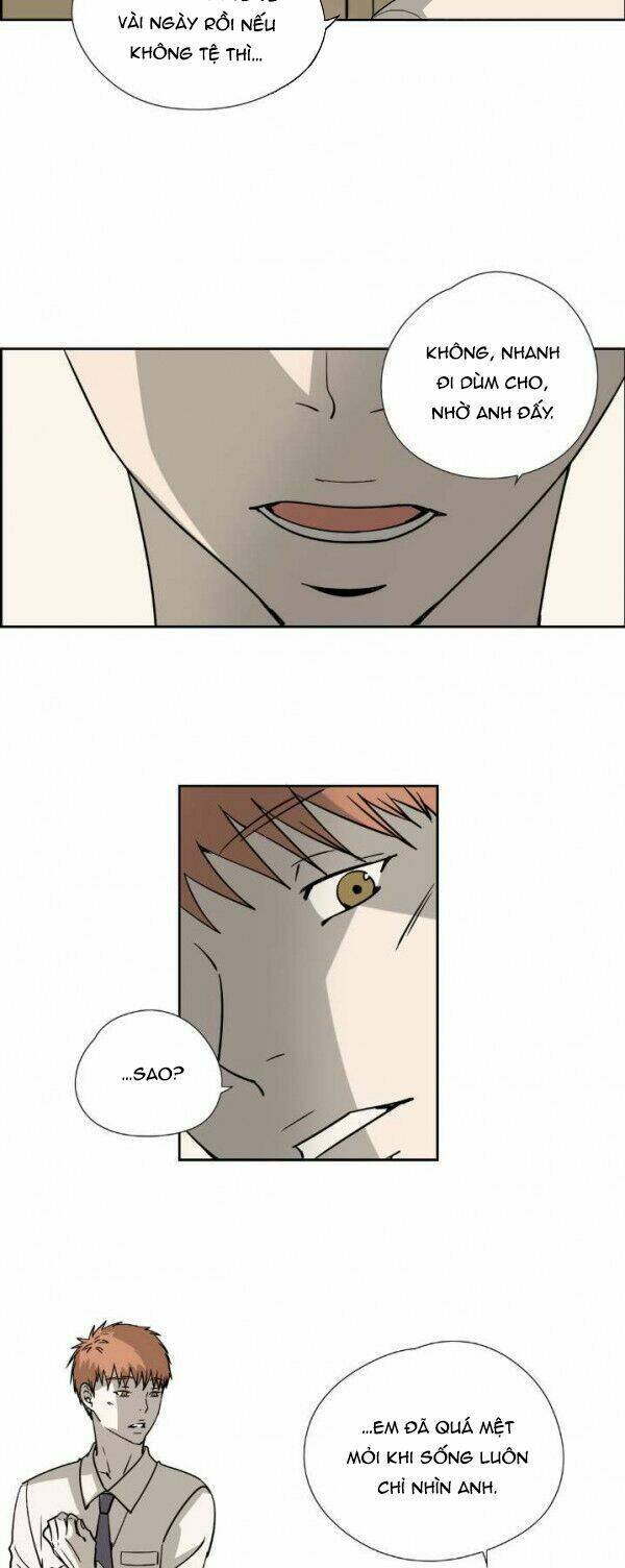 anh tôi, thầy cậu chapter 23 4