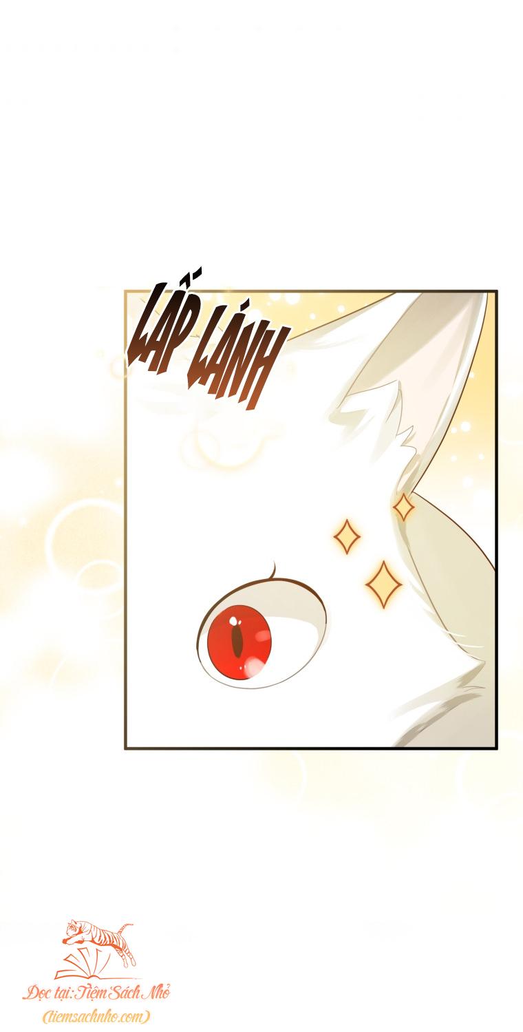 trở thành em gái nam chính truyện bl chapter 11 62