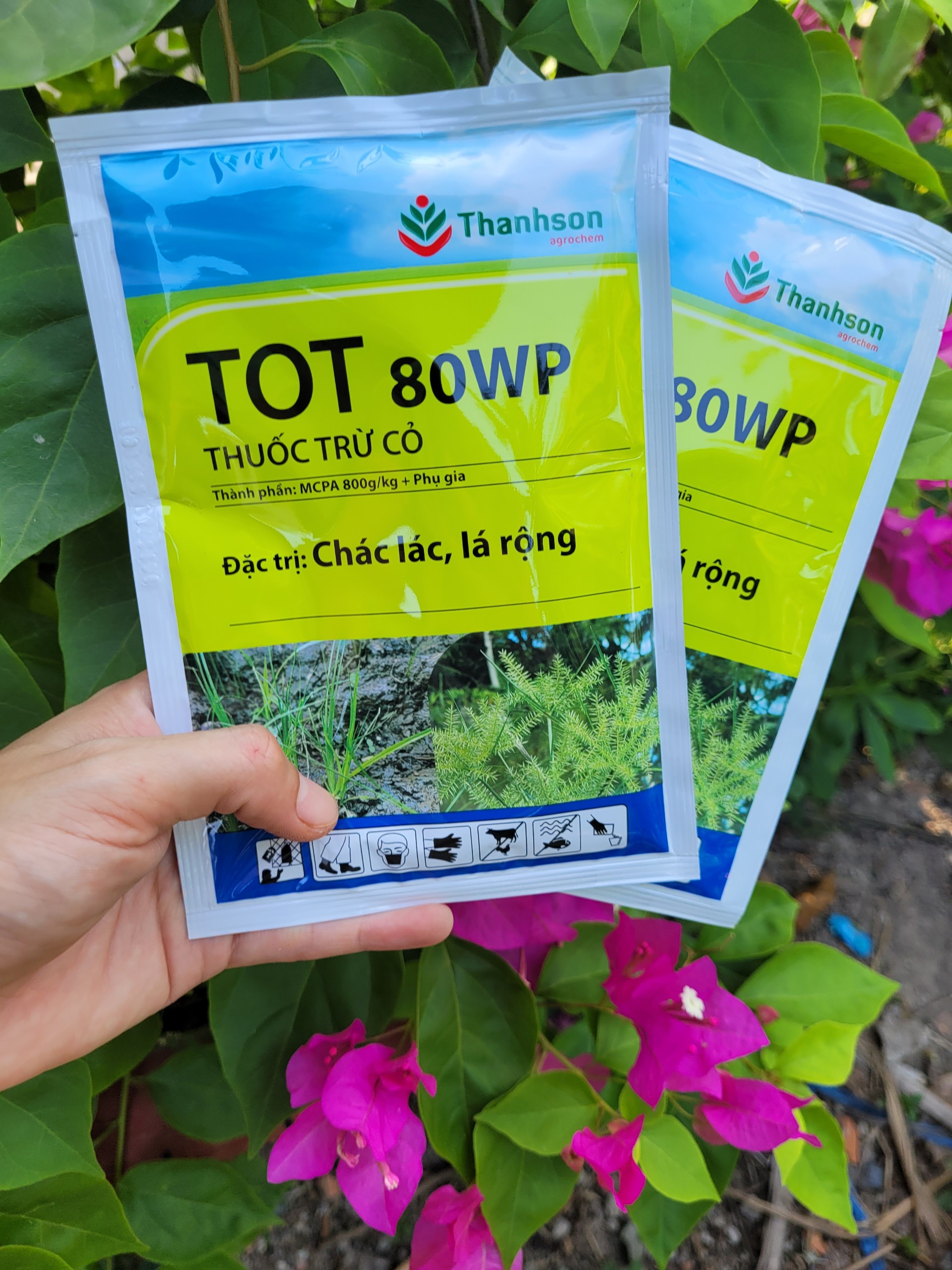 Tot 80WP - Thuốc đặc trị diệt cỏ chác lác, cỏ lá rộng, rau mác, rau muống, lục bình