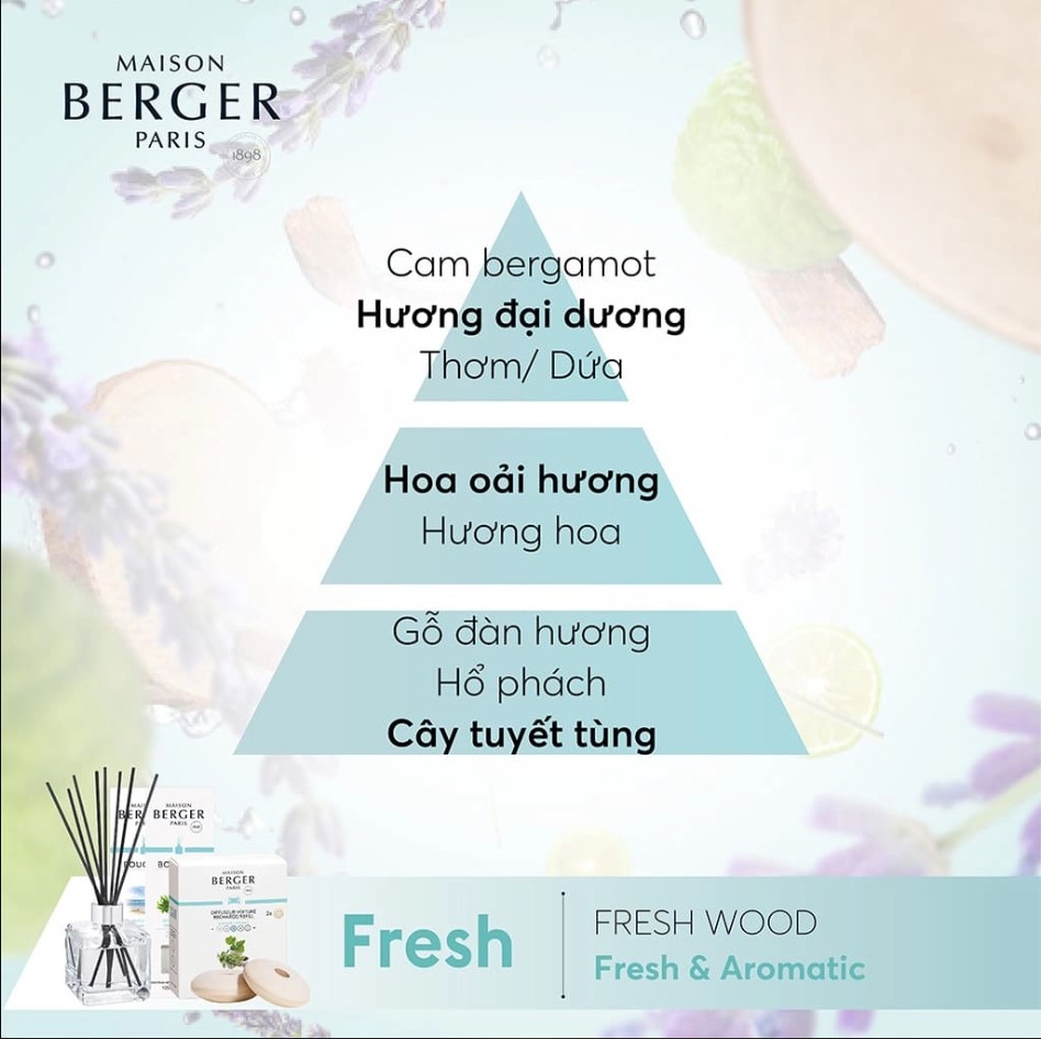 Maison Berger - Tinh dầu khuếch tán hương Fresh Wood - 200ml