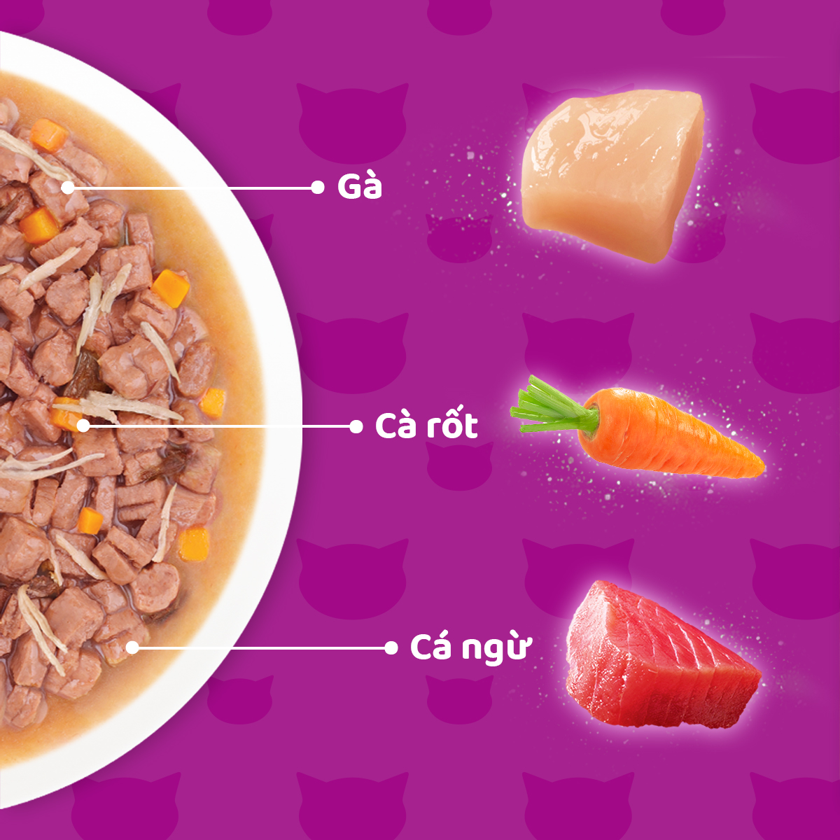 Thức Ăn Cho Mèo Trưởng Thành Dạng Sốt WHISKAS Tasty Mix, 70g, Mix Vị