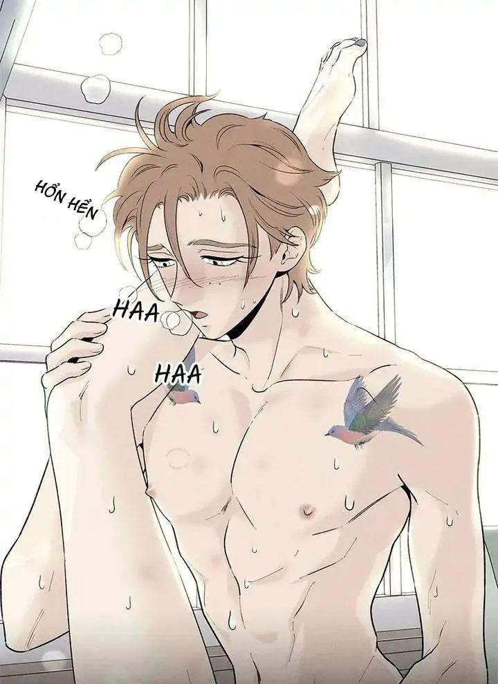 bona sort chapter 54 18