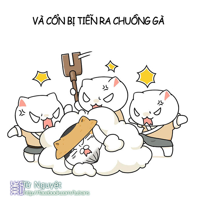 nếu lịch sử là một bầy mèo chapter 4 13