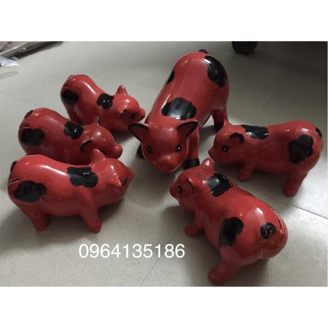 Lợn đàn tiết kiệm