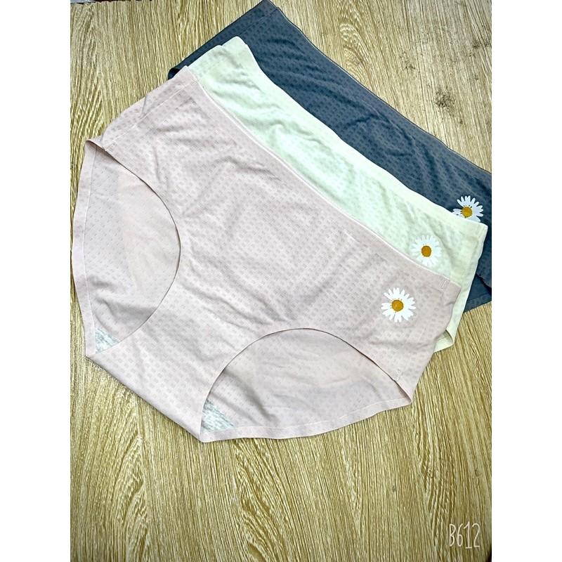 Quần lót SU ĐIỀU HOÀ CUTE form to