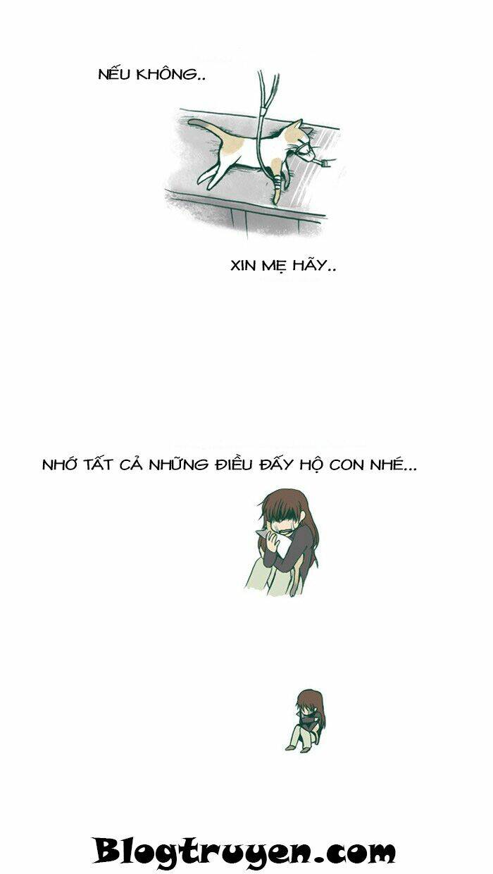 my kitty and old dog chapter 21 4