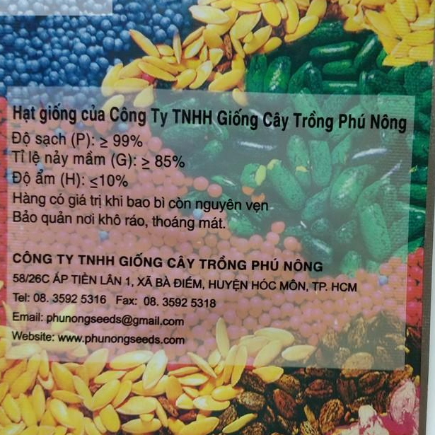 PN - Hạt Giống Ngò Rí Ngò Hạt Lớn Pháp - Trồng Rau Xanh Rau Sạch Organic Bằng Đất Sạch, Mùn Dừa Và Phân Bón Hữu Cơ