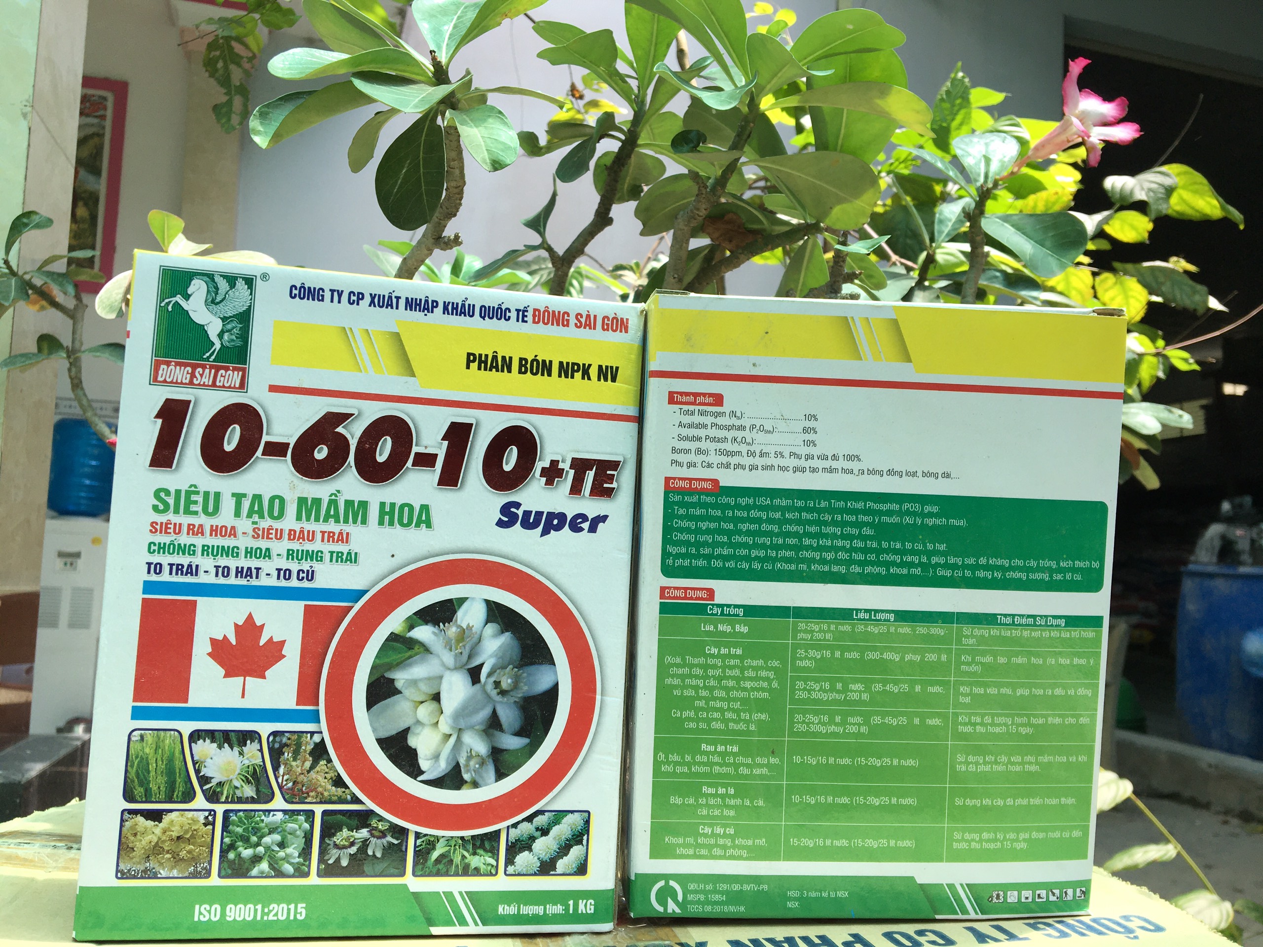 Siêu tạo mầm hoa 10-60-10 ĐSG hộp 1 ký - Siêu ra hoa siêu đậu trái