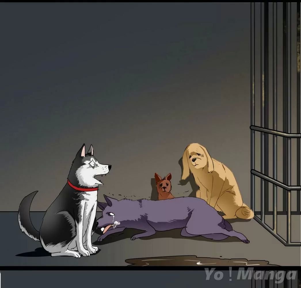 một con chó chapter 58 4