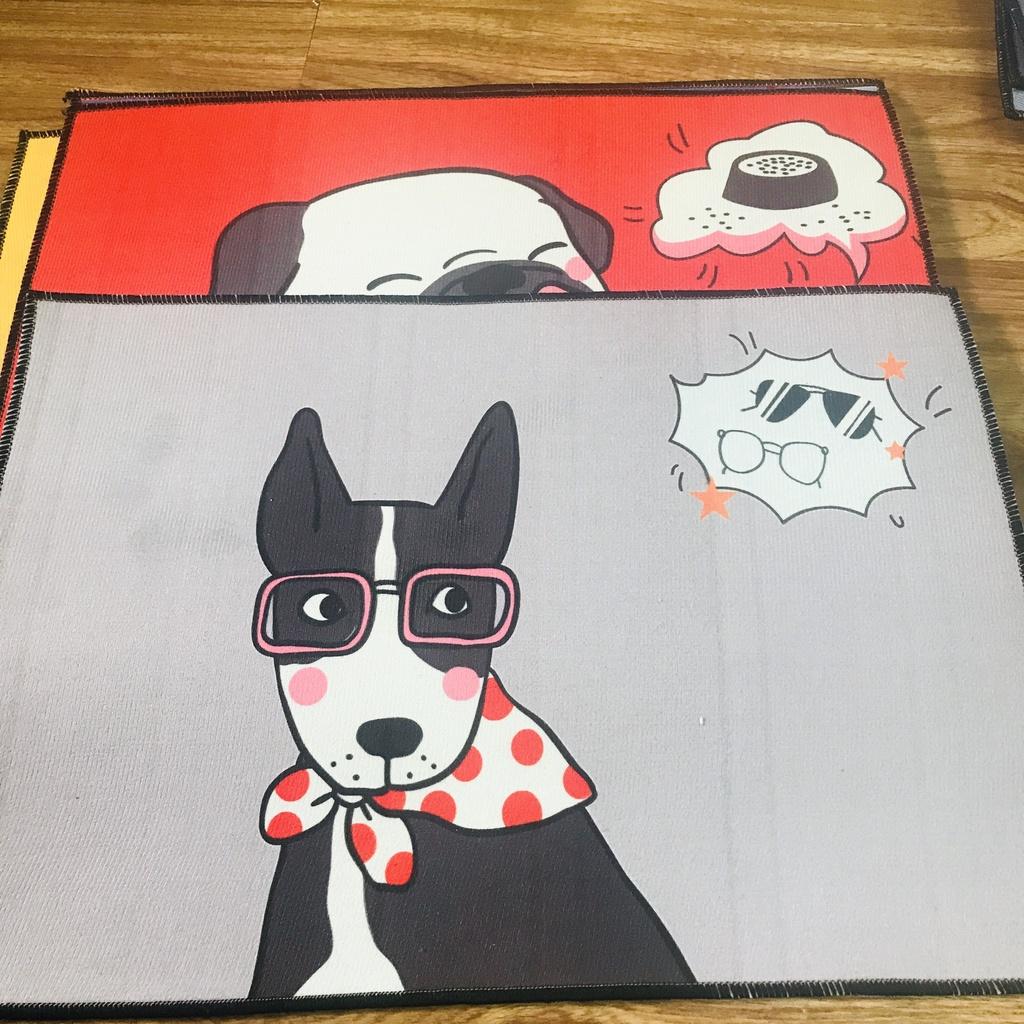 Thảm chùi chân, thảm lau chân, thảm lót chân, thảm hình thú thấm hút