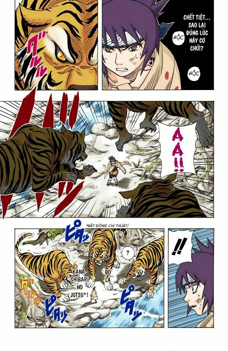 cửu vĩ hồ ly màu chapter 57 13