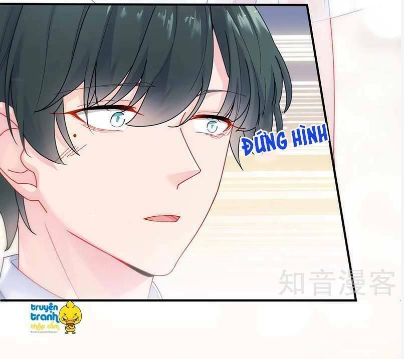 chọc tới chủ tịch tổng tài 2 chapter 82 12