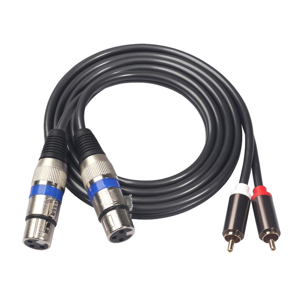 2RCA Nam Để 2XLR Nữ Stereo Âm Thanh Micro Tai Nghe Khuếch Đại Dây Cáp