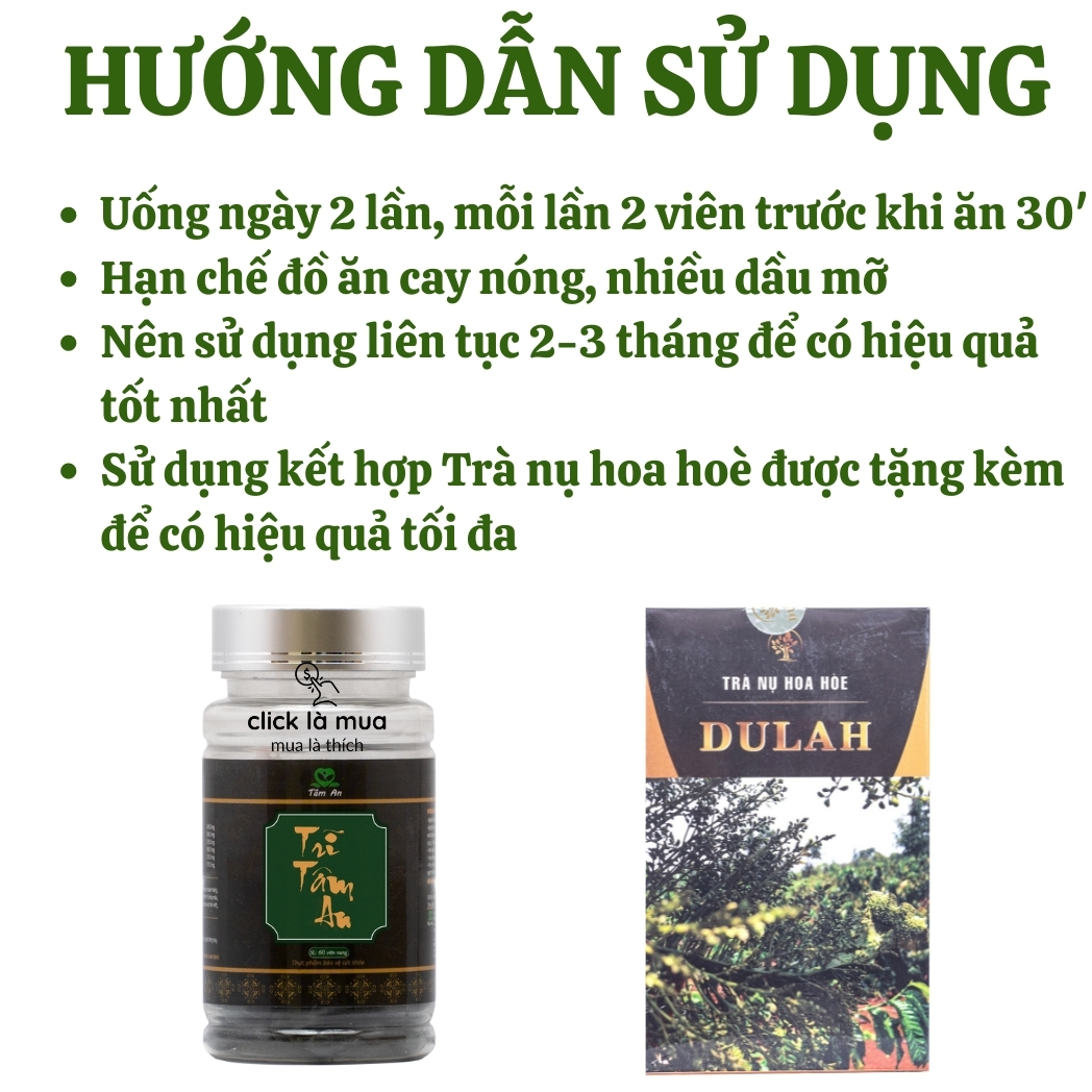 Giảm táo bón, nhuận tràng, co búi Trĩ tâm an giảm phù nề, các triệu chứng của trĩ, tăng cường sức bền mạch máu 60 viên