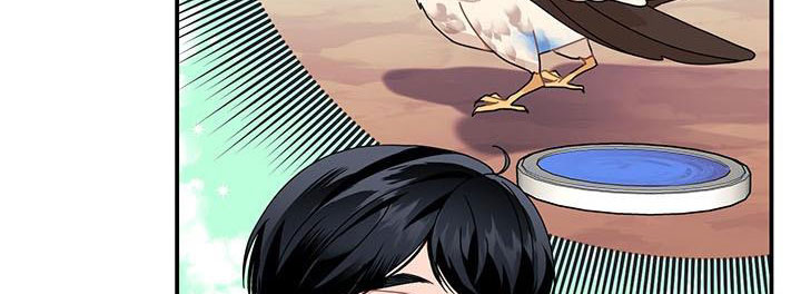 công chúa của loài chim chapter 49.1 123