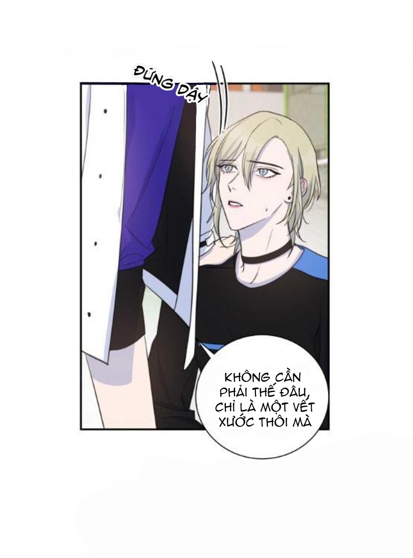 khẩu vị và sự tôn thờ của người yêu tôi chapter 23 4