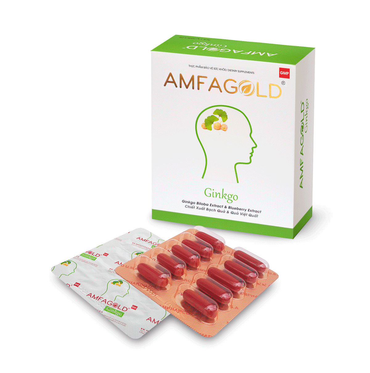 Viên uống Amfagold Ginkgo - Hỗ trợ tăng cường tuần hoàn não, cải thiện các triệu chứng do thiểu năng tuần hoàn não - Hộp 30 viên