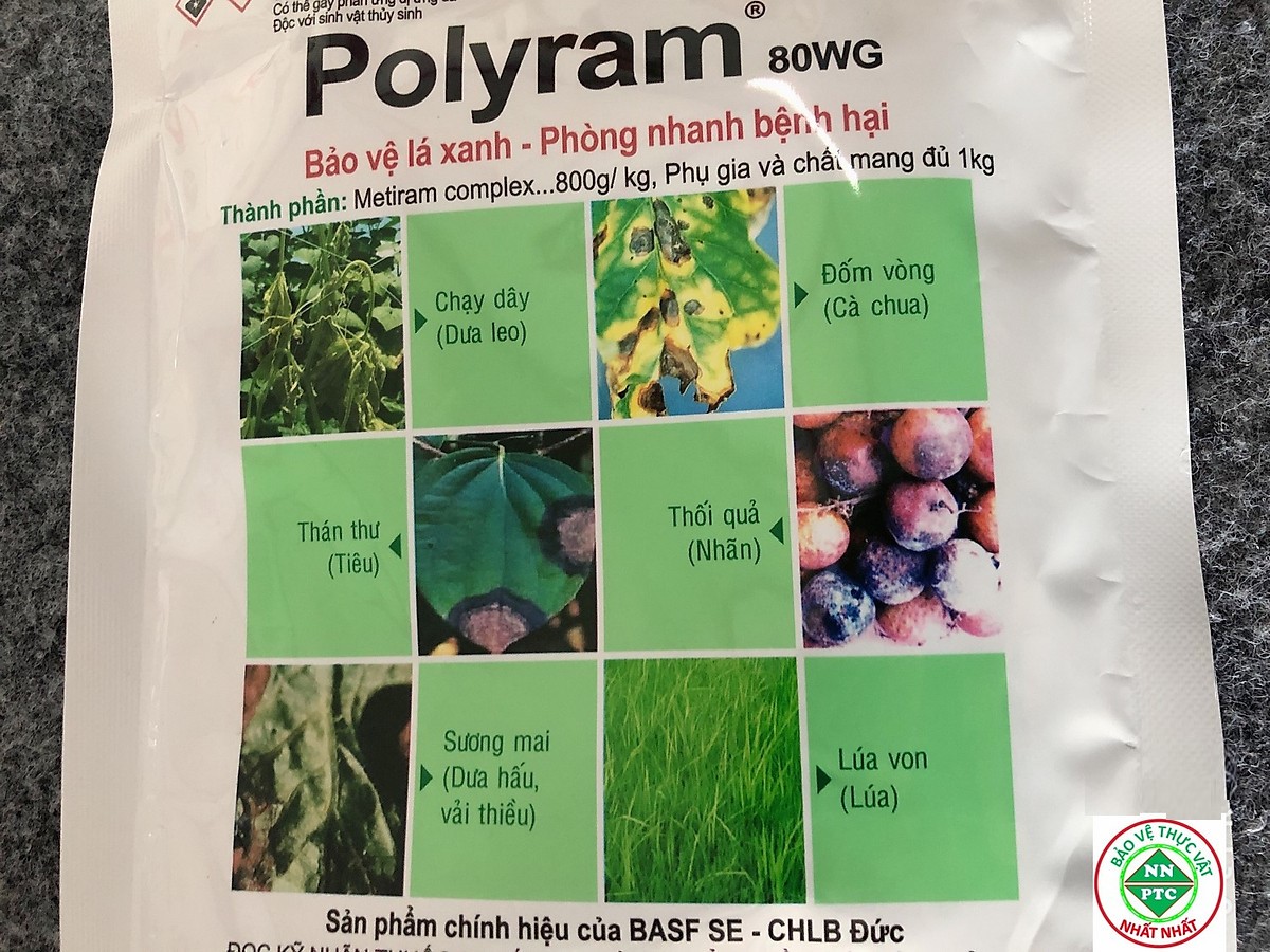 POLYRAM-PHÒNG TRỪ HỮU HIỆU NHIỀU LOẠI BỆNH CHO DƯA LEO,CÀ CHUA,DƯA HẤU,TIÊU,VAI THIỀU,NHÃN,LÚA,XOÀI