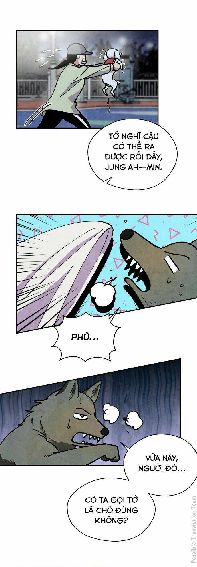 tai sói và mũ đỏ chapter 29 41