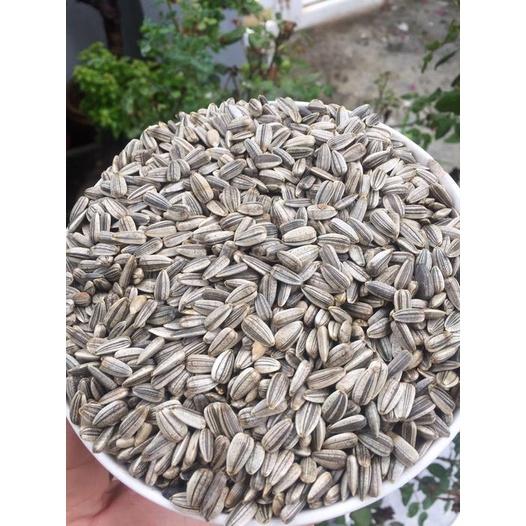 HẠT HƯỚNG DƯƠNG SIZE TRUNG CHO TẤT CẢ DÒNG VẸT SIZE TRUNG, LỚN VÀ THÚ CƯNG 1 KG