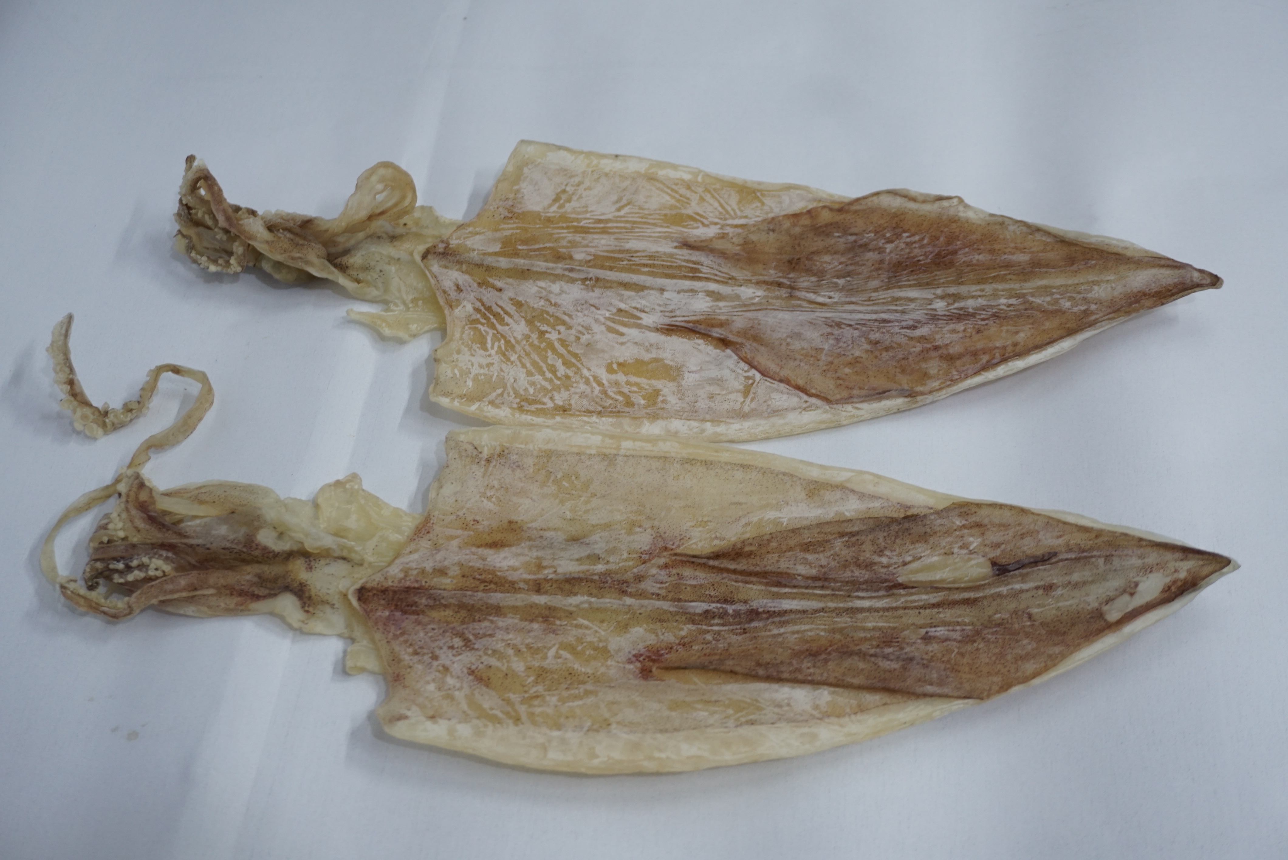 Đặc Sản Nha Trang - Mực Khô Câu Size 30 Con/Kg Seavy Gói 500G