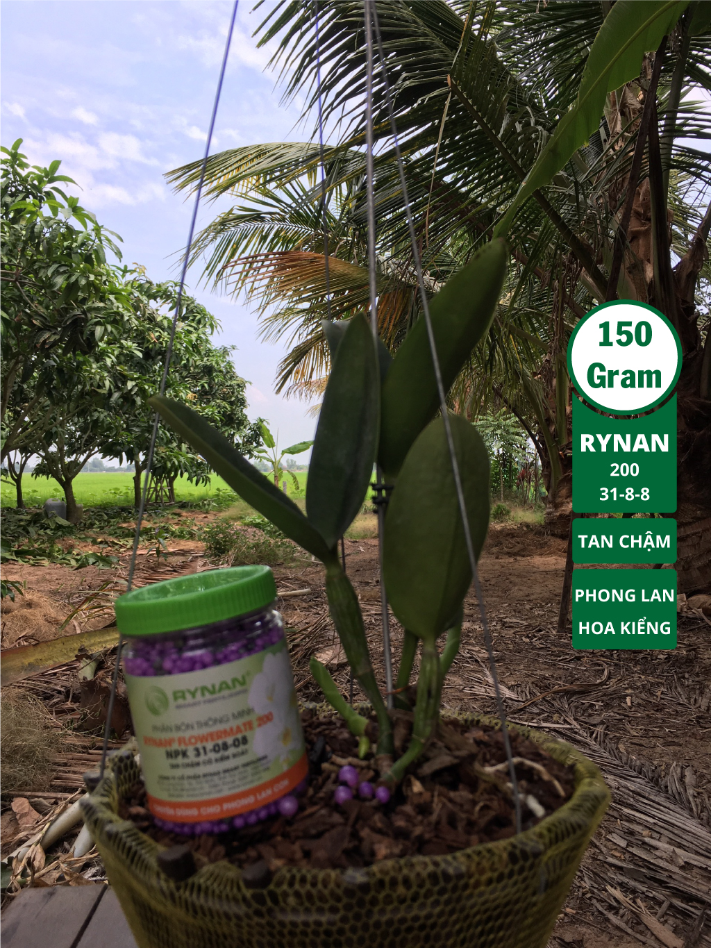 Phân tan chậm thông minh RYNAN 200 kích chồi, dưỡng cây dùng cho lan con 150 Gram Vật Tư Trồng Lan/Phân Bón