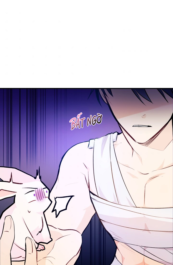 mối liên kết giữa báo đen và bé thỏ chapter 4 28