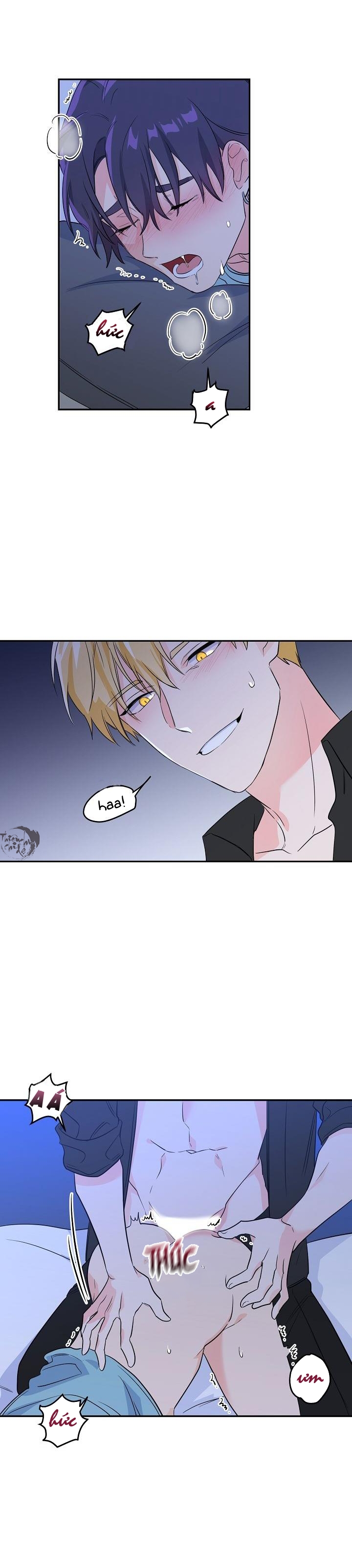 hoa ly hổ chapter 3 22