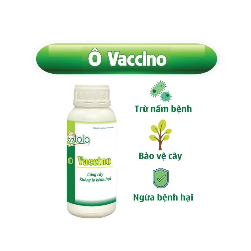 Chế Phẩm Sinh Học Trừ Bệnh Phòng Trừ Nấm Bệnh, Vàng Lá, Thối Rễ, Thán Thư - Ô Vaccino 500ml-Ecom