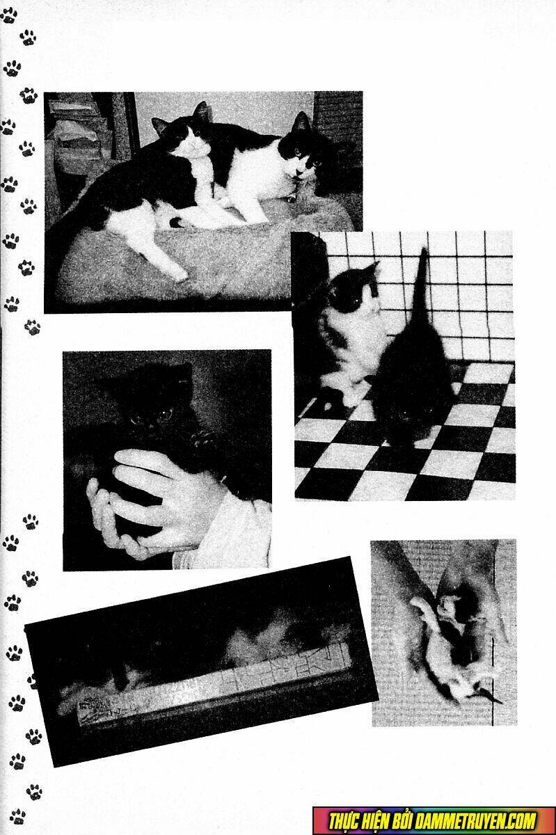 shin kotaro makaritoru! juudouhen chapter 142 19