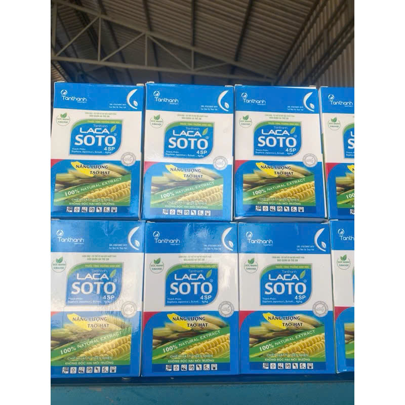 LACA SOTO 4SP của TÂN THÀNH Chắc cậy đầy bông, xanh lá đồng, tăng năng suất