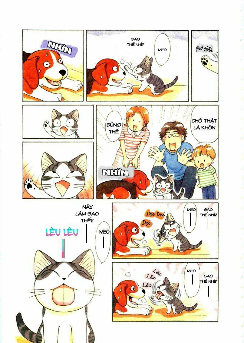 chi's sweet home chapter 64 8