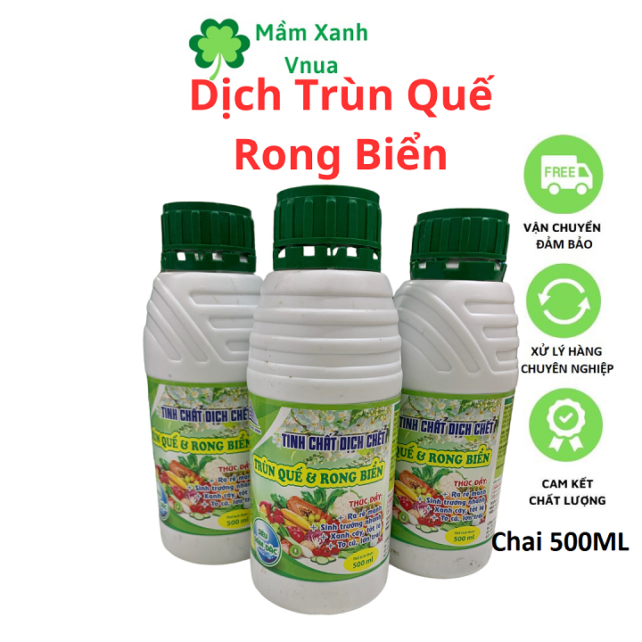 Dịch Trùn Quế Rong Biển - Chai 500ml, giúp to củ, lớn quả, cây ra rễ mạnh, xanh cây, tốt lá