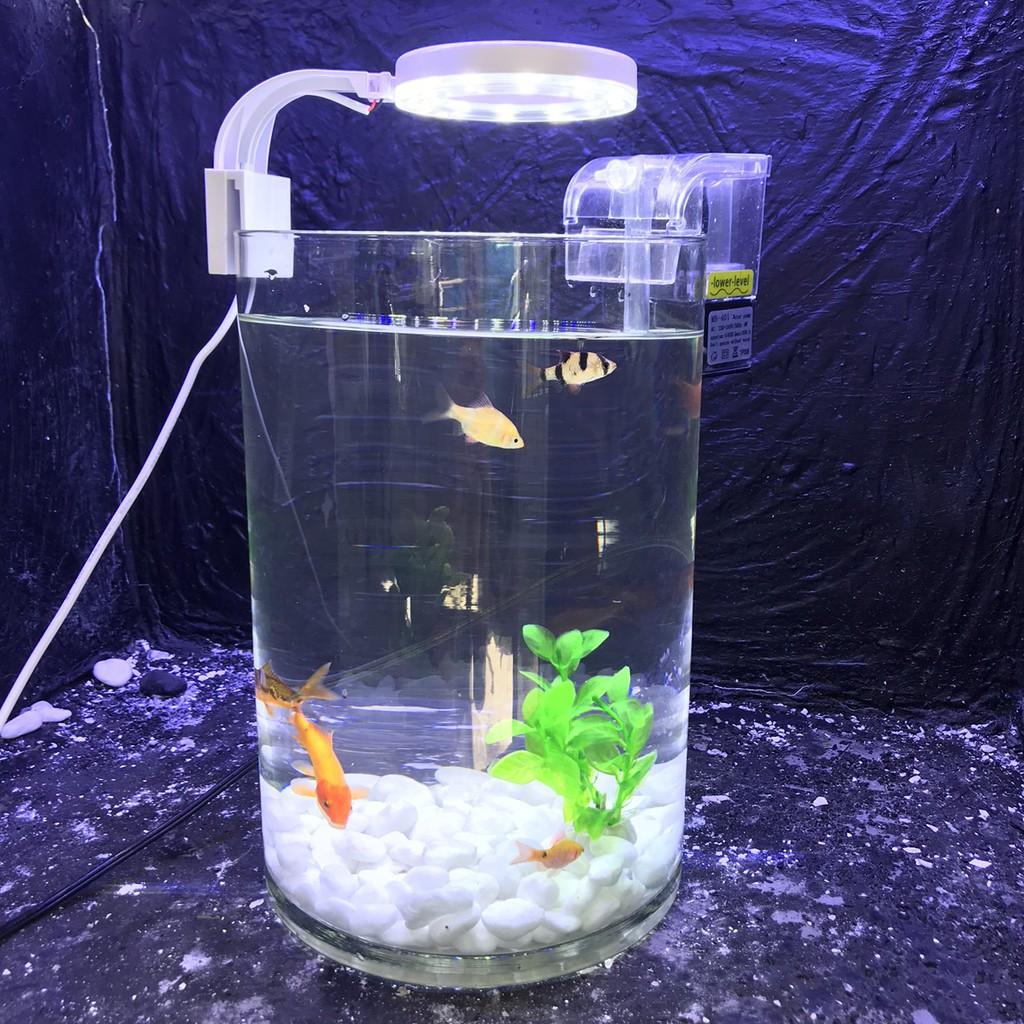 Bể cá mini để bàn tròn D20H30 COMBO Hồ Lọc Đèn kèm phụ kiện tiểu cảnh