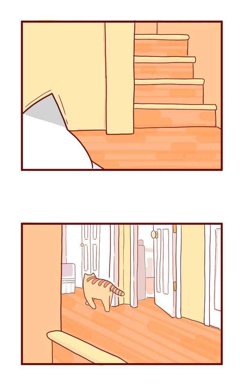 saphie: chú mèo một mắt chapter 10 12