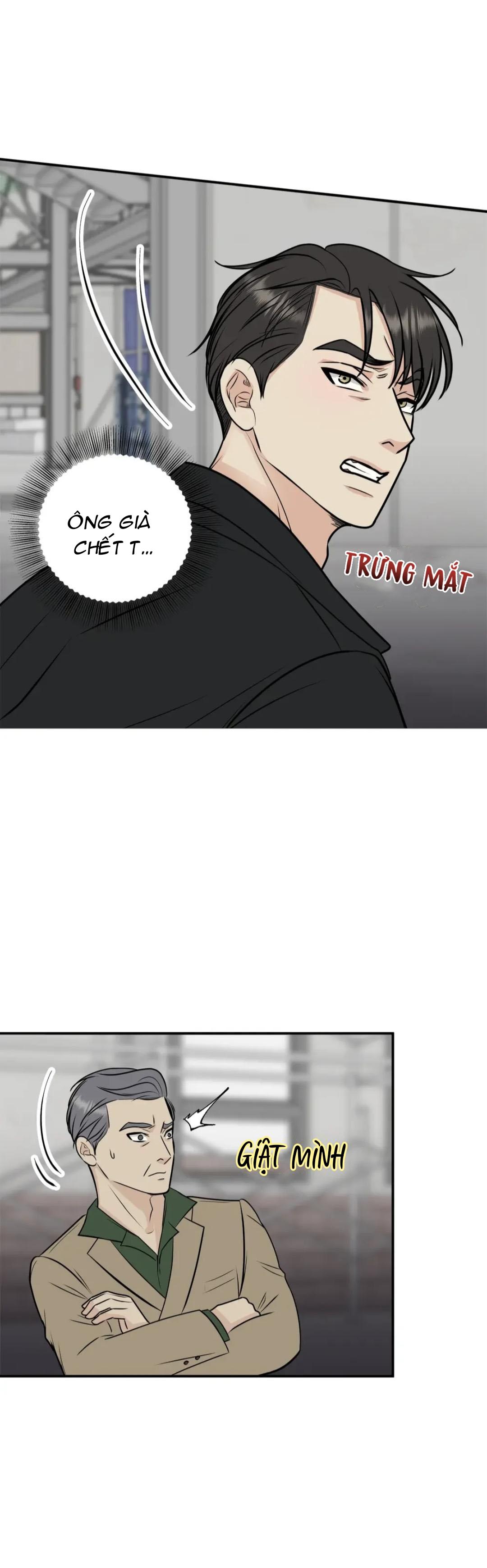 hạnh phúc trọn vẹn chapter 13 2