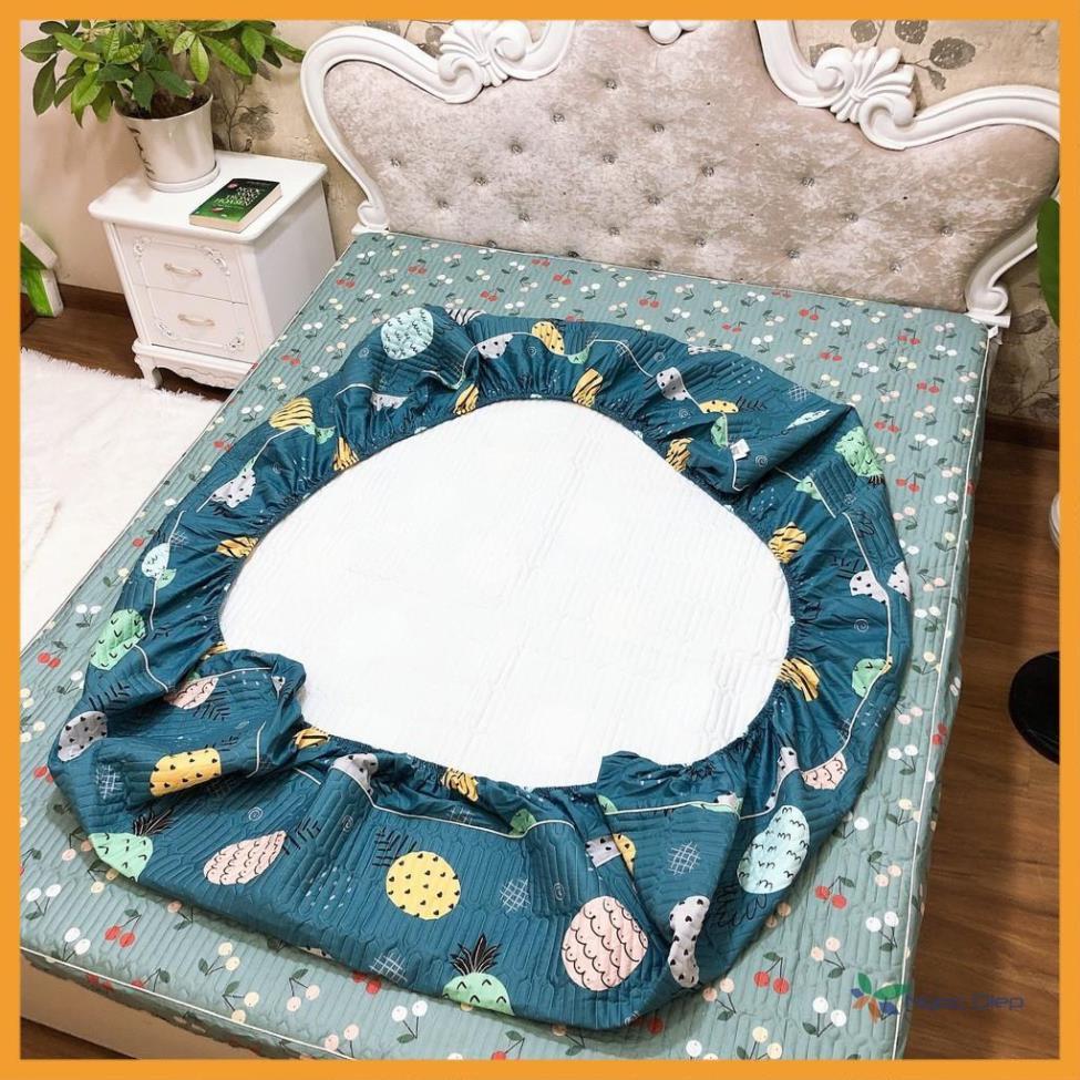 Bộ ga kèm 2 vỏ gối cotton Chần Bông mẫu Dứa Xanh cao cấp m2, m6, m8, 2m2