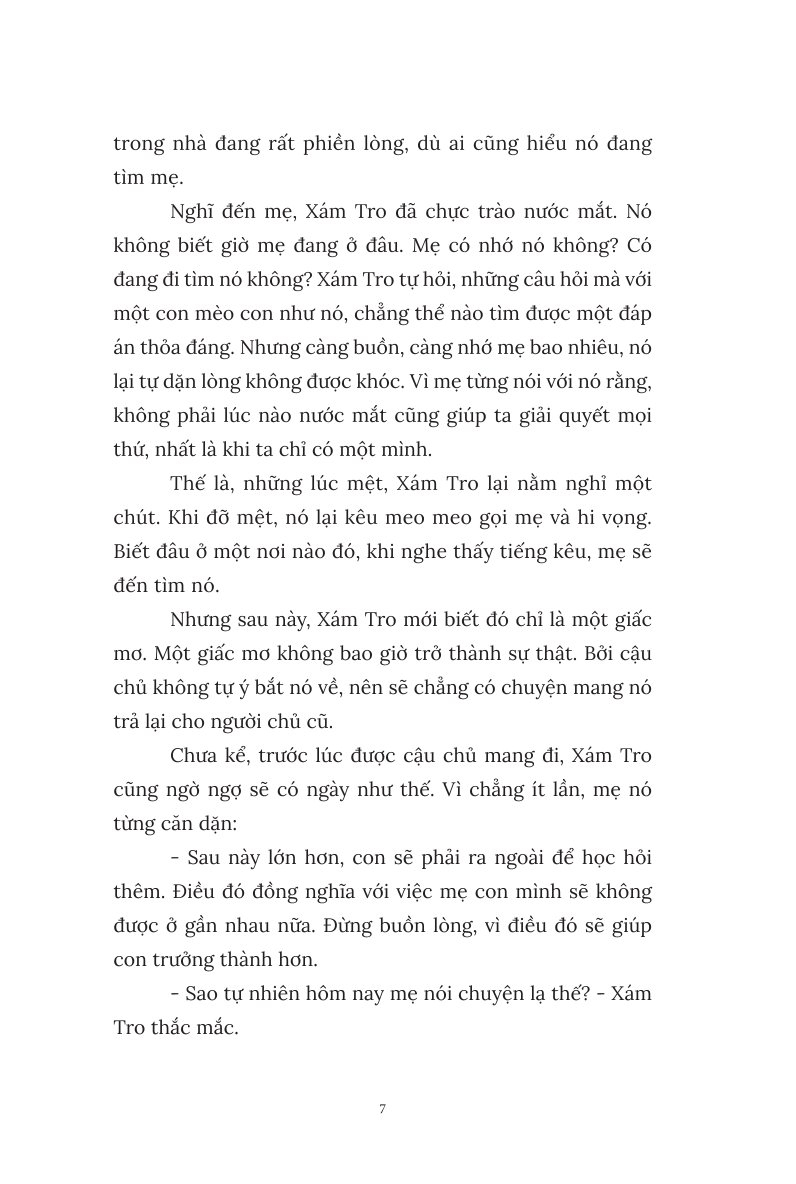 Sách Chú Mèo Tắm Nắng Bên Hiên